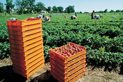 1197496616684 10315814