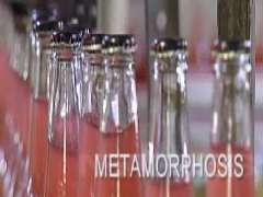 Citybreweryssupplychainmetamor 10269613