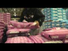 Voicedrivenlogisticspoweredbyv 10269617