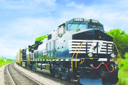 Norfolk1 10416752
