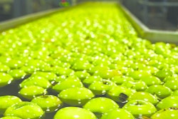 Supplychain2 10658374
