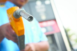 On average, diesel prices across the U.S. have risen 27 cents over the last year. However, the West Coast experienced a 43 cent hike.