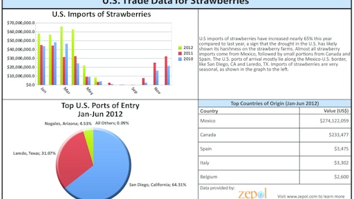 Zepol Chart 10781130