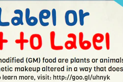 For more information, visit: http://goo.gl/64UuI