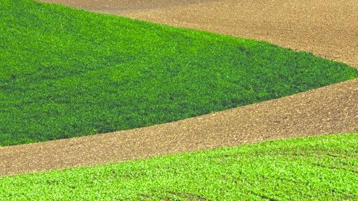 2 Tone Field 10982682