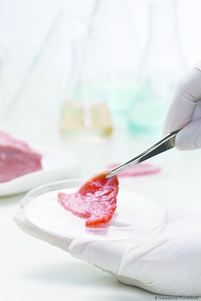 Lab Meat 11359037