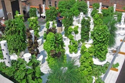Rooftop Hydro