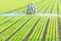 Sustainable 11519490