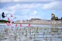 Port Tampa Restore 5421aef2ac55a