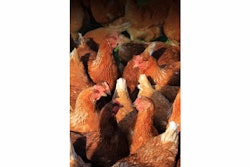 Id 10075907 544e8aeec20e3