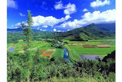 Kauai Hawaii 5433f7bfa8b12