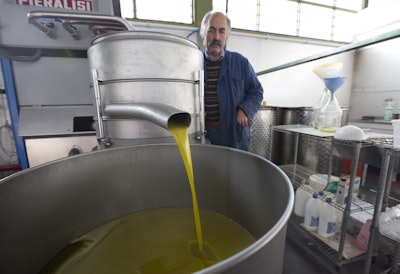 In this Thursday, Nov. 13, 2014 photo, Augusto Spagnoli, oil producer, shows how his oil mill works, during an interview with The Associated Press, in Nerola, 50 kilometers (31 miles) from Rome. Italy’s 2014 olive harvest was declared by both producers and experts as the worst in history, due to adverse climatic conditions which helped the olive fly proliferate thus destroying the olives before they could be harvested. (AP Photo/Alessandra Tarantino)