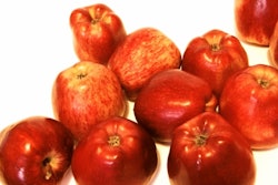 Id 10011037 5480aa644c1ee