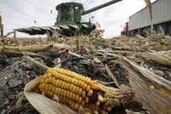 corn 5491bfeb5229b