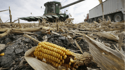 corn 5491bfeb5229b
