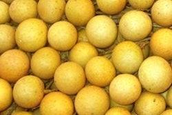 fresh longan anh duongsao 54945cd871b57
