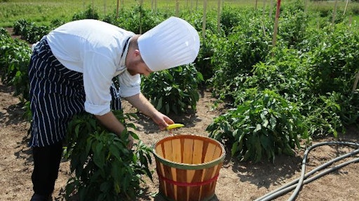 Watertown (Wis.) Regional Medical Center Chef Justin Johnson picks banana peppers in the garden behind the hospital.