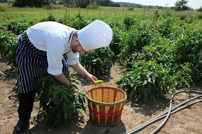 Watertown (Wis.) Regional Medical Center Chef Justin Johnson picks banana peppers in the garden behind the hospital.
