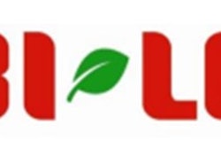 Bi Lo logo 54c7cc72561b1