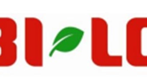 Bi Lo logo 54c7cc72561b1