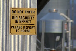 Bird Flu image 54ad80570c3f2