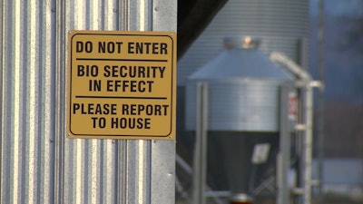 Bird Flu image 54ad80570c3f2