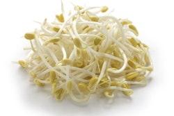 bean sprouts 54c13a218915b