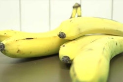 Students In Sweden Create Gluten-Free Banana Flour