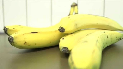 Students In Sweden Create Gluten-Free Banana Flour