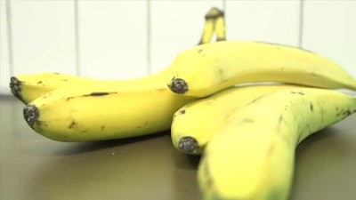 Students In Sweden Create Gluten-Free Banana Flour