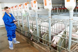 meat inspector at pig farm 54cfcabad360e