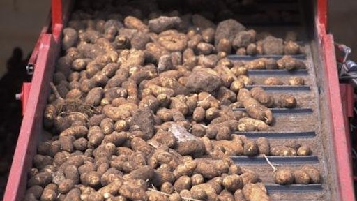potatoharvest 237C0AD599452 54f9e081dae1a