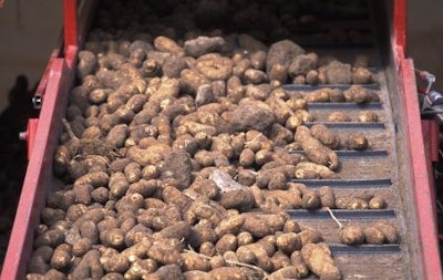 potatoharvest 237C0AD599452 54f9e081dae1a