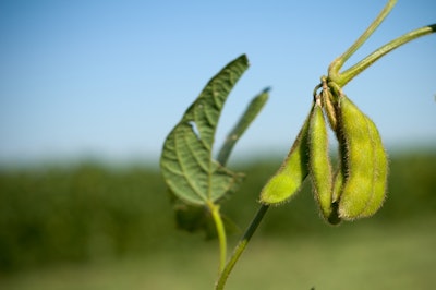 soybean 1 2012 55198aaf3680b