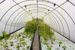 aquaponic greenhouse 5523dc7394c95