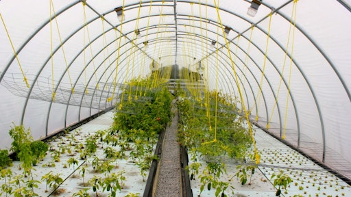 aquaponic greenhouse 5523dc7394c95