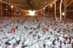 The country’s poultry industry may have to live with a deadly bird flu strain for several years, the U.S. Department of Agriculture’s chief veterinary officer said Thursday, April 16, 2015 on a visit to Minnesota, the state hit hardest by outbreaks that have cost Midwest producers over 2 million turkeys and chickens.