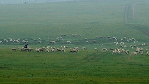 livestock herding drones 55253fded3add