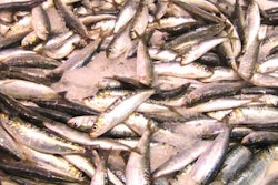 sardines on ice 552d243770fd0