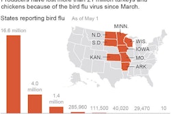 Chart shows the number of bird's with bird flu since March.