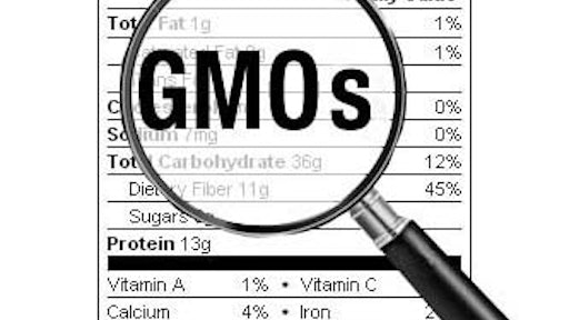GMO 2 555615cf0913f