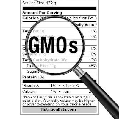 GMO 2 555615cf0913f