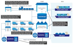 This illustration demonstrates how cold waste from liquid nitrogen gas (LNG) re-gasification could power the 'cold economy' in India.