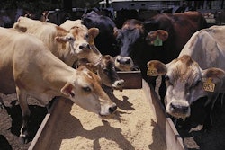 feedtrough 5555ffa3d1f74
