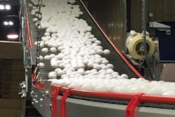 The bird flu outbreak has caused the U.S. Department of Agriculture to approve importing egg products from the Netherlands to be used for baking and in processed foods.