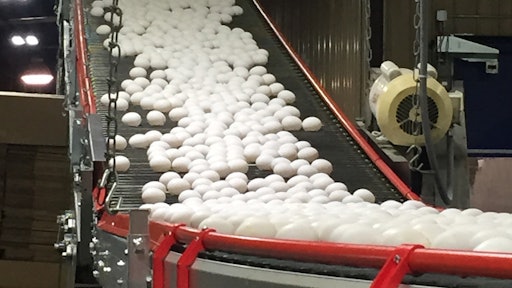 The bird flu outbreak has caused the U.S. Department of Agriculture to approve importing egg products from the Netherlands to be used for baking and in processed foods.