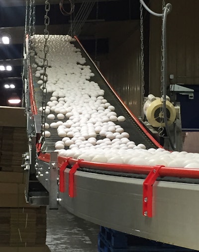 The bird flu outbreak has caused the U.S. Department of Agriculture to approve importing egg products from the Netherlands to be used for baking and in processed foods.