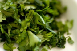 new cilantro 55c4f2a32bcf2