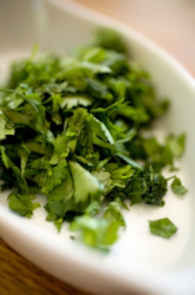 new cilantro 55c4f2a32bcf2