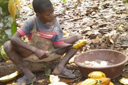 The suits state that such children are trafficked from countries neighboring the Ivory Coast, sold to plantation owners by brokers and smugglers, and forced to work under conditions of physical violence without pay. According to the World Cocoa Foundation, 47 percent of the total U.S. imports of cocoa beans come from the Ivory Coast.